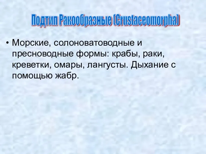 Морские, солоноватоводные и пресноводные формы: крабы, раки, креветки, омары, лангусты. Дыхание