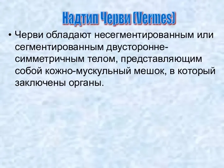 Надтип Черви (Vermes) Черви обладают несегментированным или сегментированным двусторонне-симметричным телом, представляющим