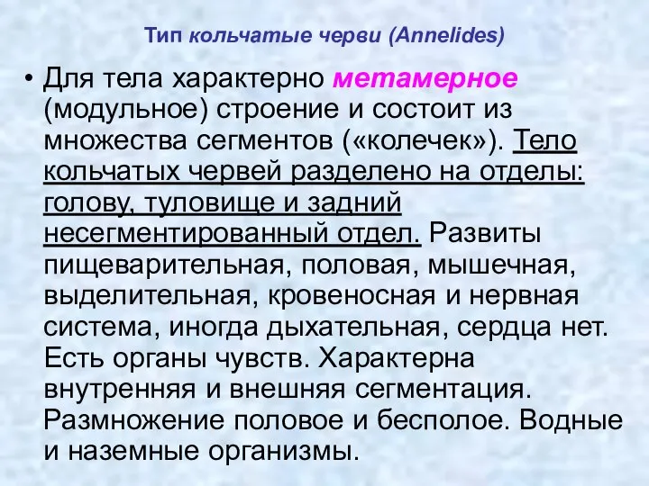 Для тела характерно метамерное (модульное) строение и состоит из множества сегментов