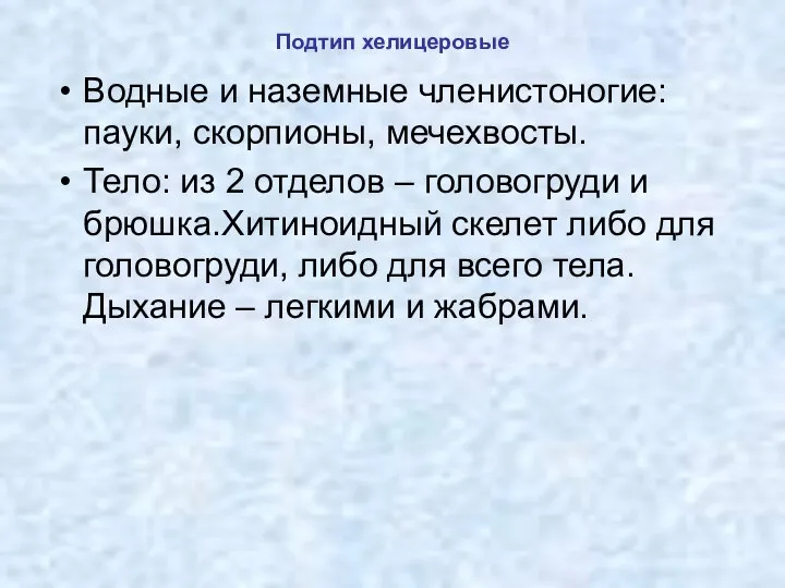 Подтип хелицеровые Водные и наземные членистоногие: пауки, скорпионы, мечехвосты. Тело: из