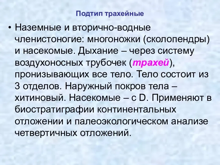 Подтип трахейные Наземные и вторично-водные членистоногие: многоножки (сколопендры) и насекомые. Дыхание