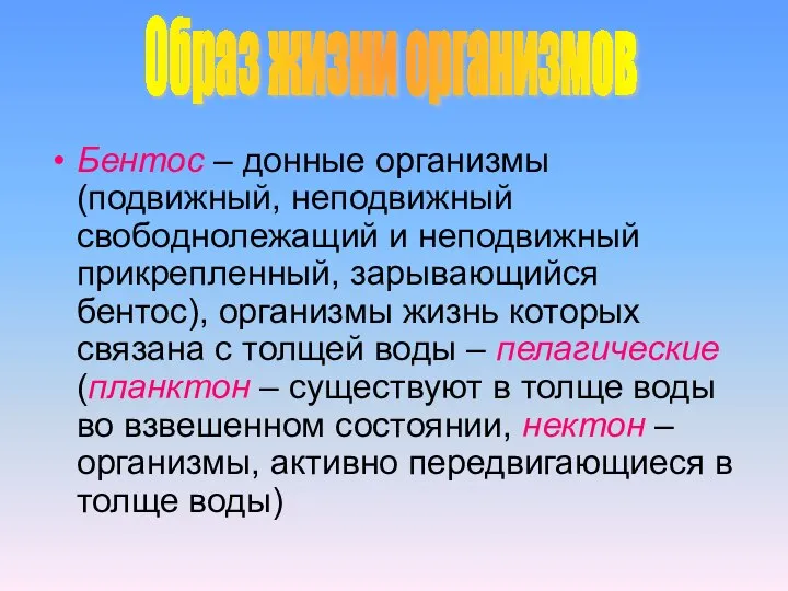 Бентос – донные организмы (подвижный, неподвижный свободнолежащий и неподвижный прикрепленный, зарывающийся