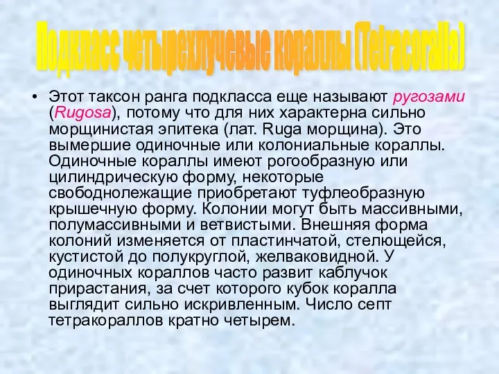 Этот таксон ранга подкласса еще называют ругозами (Rugosa), потому что для