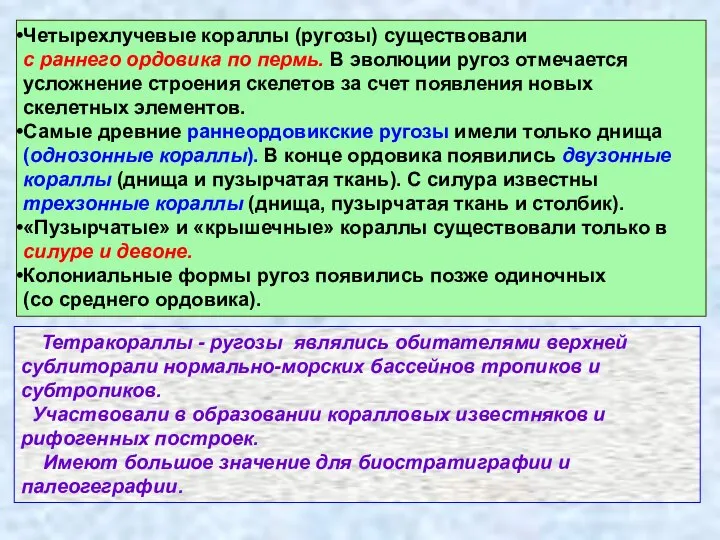 Тетракораллы - ругозы являлись обитателями верхней сублиторали нормально-морских бассейнов тропиков и