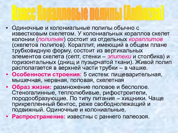 Одиночные и колониальные полипы обычно с известковым скелетом. У колониальных кораллов