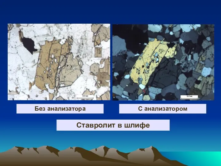 С анализатором Без анализатора Ставролит в шлифе