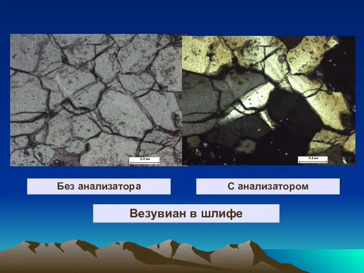 С анализатором Без анализатора Везувиан в шлифе