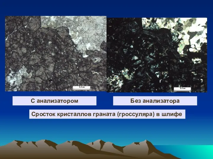 С анализатором Без анализатора Сросток кристаллов граната (гроссуляра) в шлифе