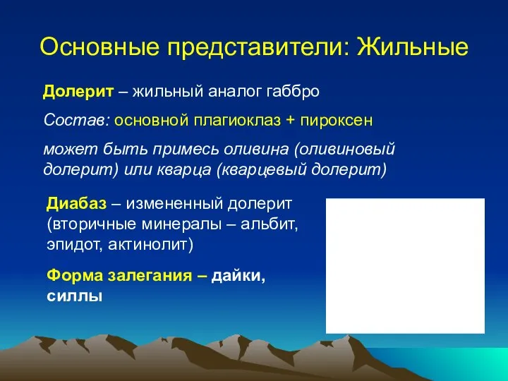 Основные представители: Жильные Долерит – жильный аналог габбро Состав: основной плагиоклаз