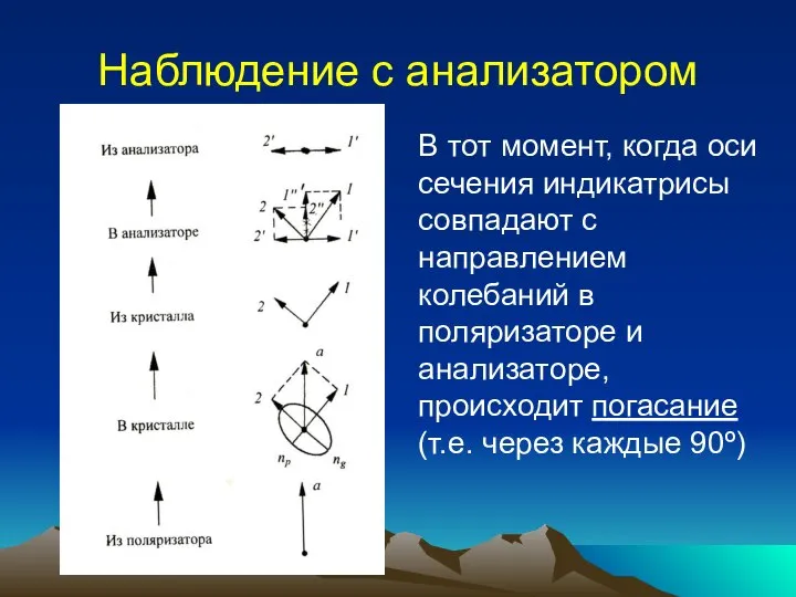 Наблюдение с анализатором В тот момент, когда оси сечения индикатрисы совпадают