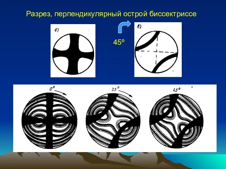 Разрез, перпендикулярный острой биссектриссе