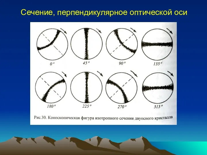 Сечение, перпендикулярное оптической оси