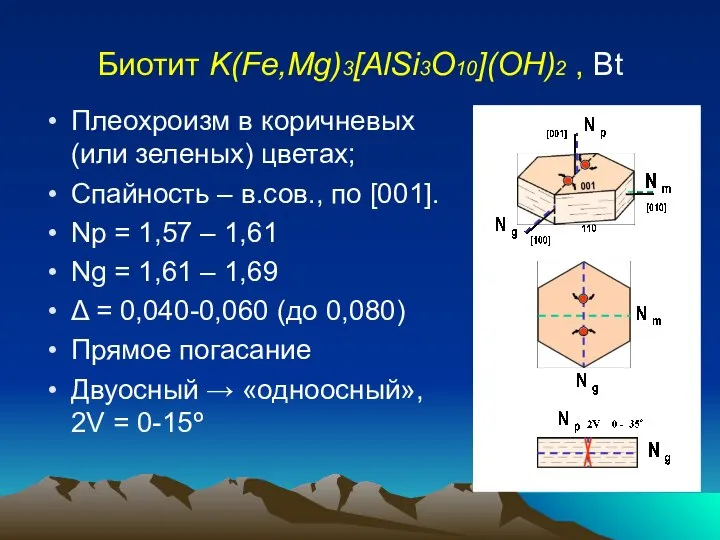 Биотит K(Fe,Mg)3[AlSi3O10](OH)2 , Bt Плеохроизм в коричневых (или зеленых) цветах; Спайность
