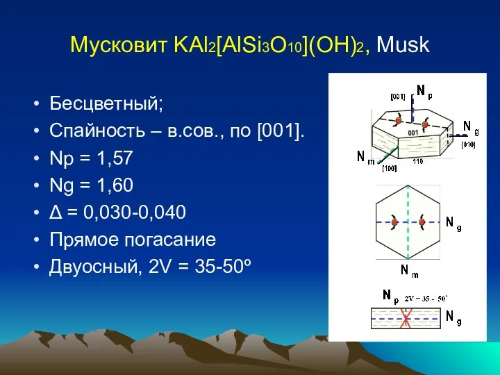Мусковит KAl2[AlSi3O10](OH)2, Musk Бесцветный; Спайность – в.сов., по [001]. Np =