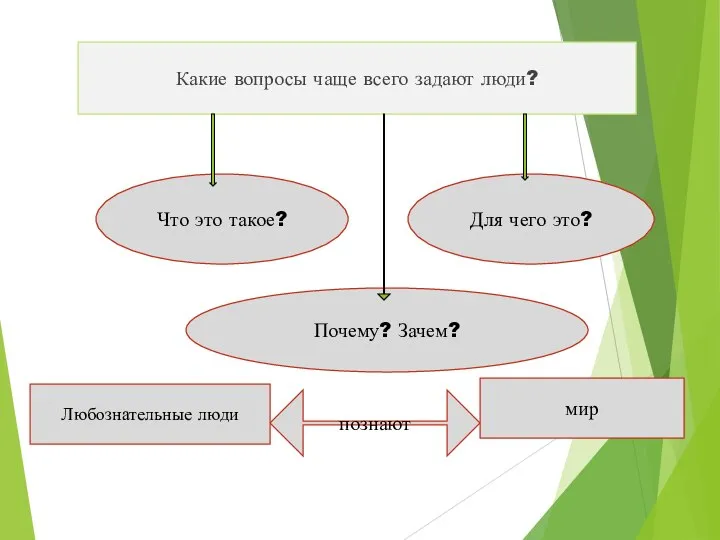 Какие вопросы чаще всего задают люди? Что это такое? Для чего