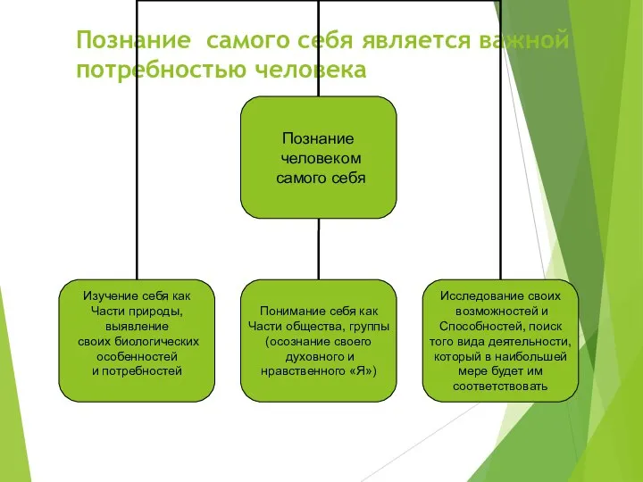 Познание самого себя является важной потребностью человека