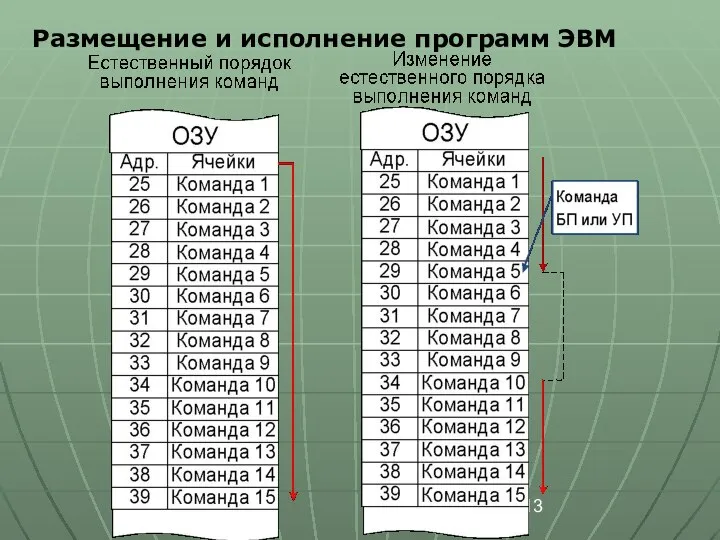 Размещение и исполнение программ ЭВМ