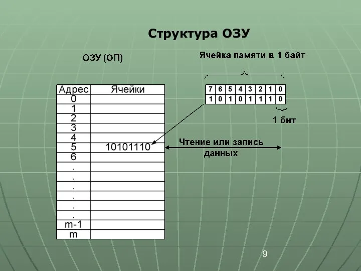 Структура ОЗУ