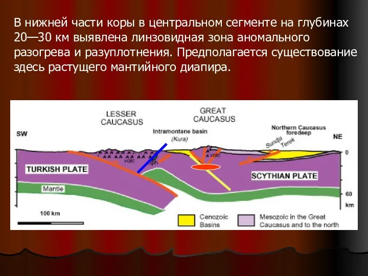 В нижней части коры в центральном сегменте на глубинах 20—30 км