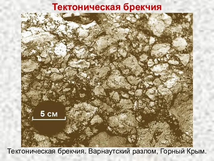 Тектоническая брекчия. Варнаутский разлом, Горный Крым. Тектоническая брекчия