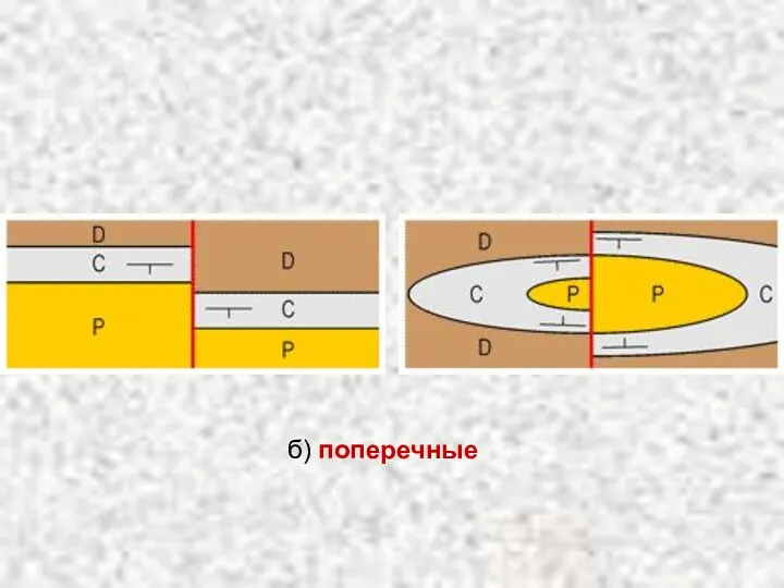 б) поперечные