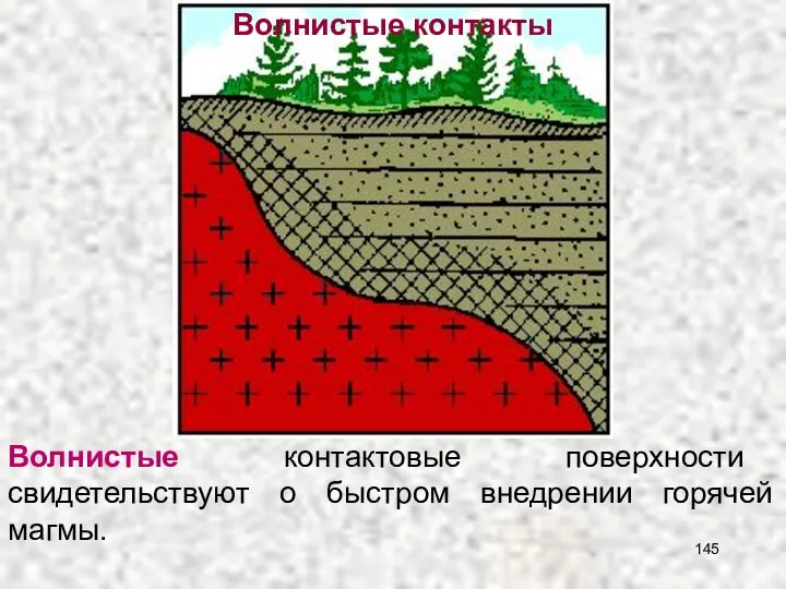 Волнистые контакты Волнистые контактовые поверхности свидетельствуют о быстром внедрении горячей магмы.