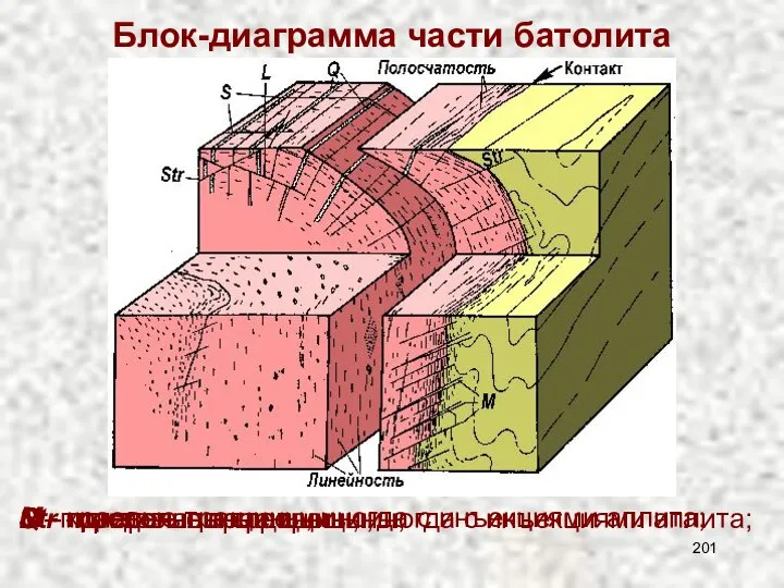 M - краевые трещины, иногда с инъекциями аплита; Блок-диаграмма части батолита