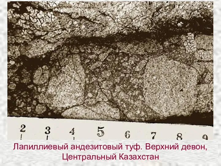 Лапиллиевый андезитовый туф. Верхний девон, Центральный Казахстан