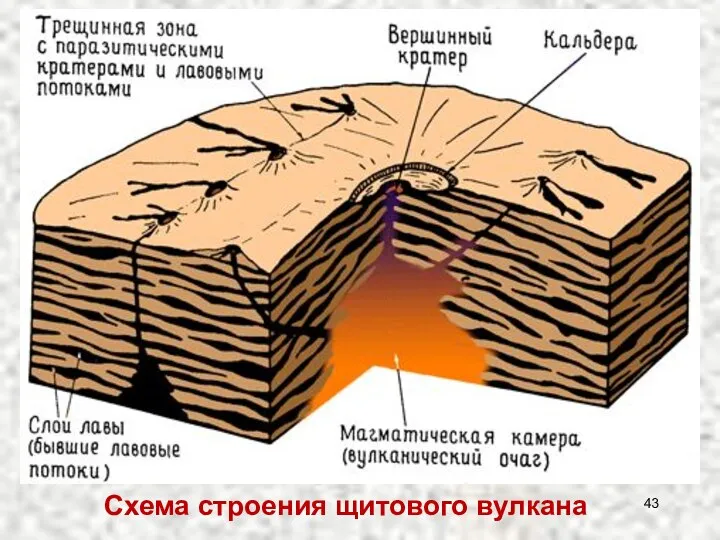 Схема строения щитового вулкана