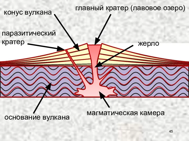 главный кратер (лавовое озеро) жерло конус вулкана основание вулкана магматическая камера паразитический кратер