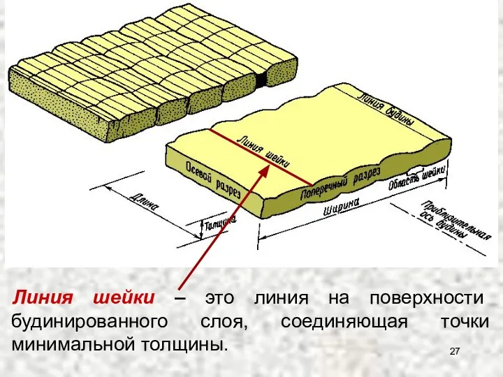 Линия шейки – это линия на поверхности будинированного слоя, соединяющая точки минимальной толщины.