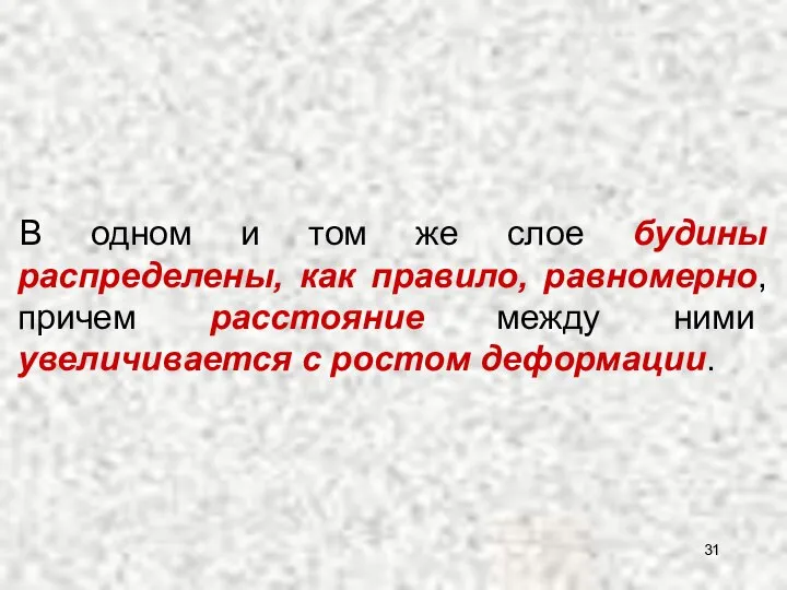 В одном и том же слое будины распределены, как правило, равномерно,