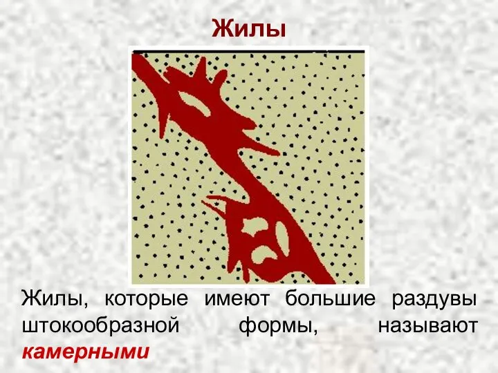 Жилы Жилы, которые имеют большие раздувы штокообразной формы, называют камерными