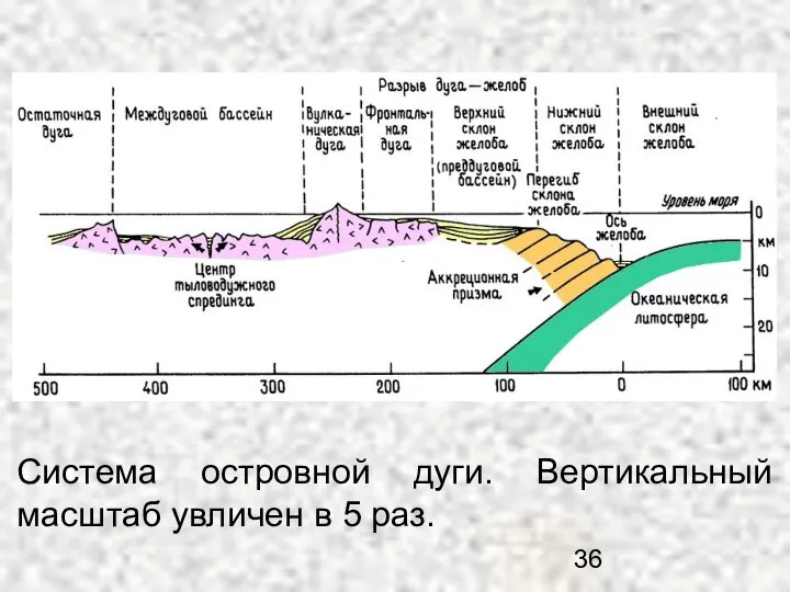 Система островной дуги. Вертикальный масштаб увличен в 5 раз.