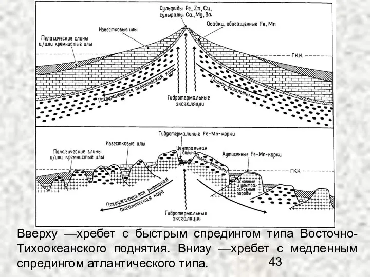 Вверху —хребет с быстрым спредингом типа Восточно-Тихоокеанского поднятия. Внизу —хребет с медленным спредингом атлантического типа.