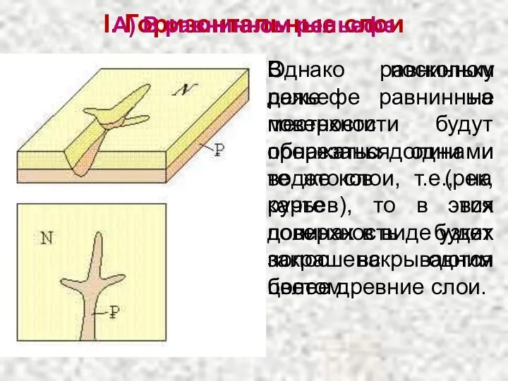 I. Горизонтальные слои В равнинном рельефе на поверхности будут обнажаться одни