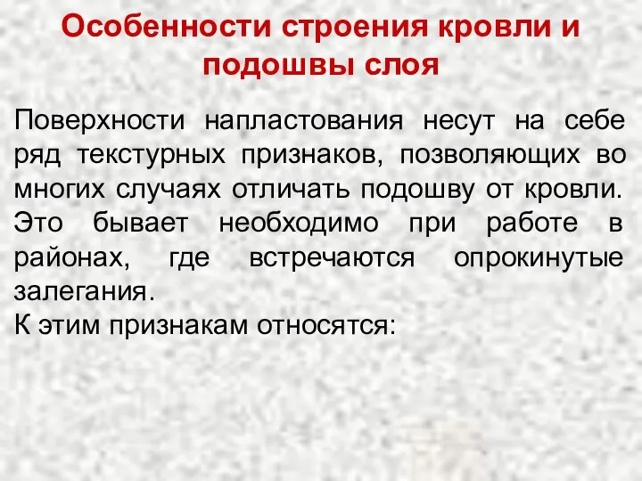 Особенности строения кровли и подошвы слоя Поверхности напластования несут на себе