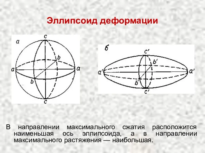 Эллипсоид деформации В направлении максимального сжатия расположится наименьшая ось эллипсоида, а