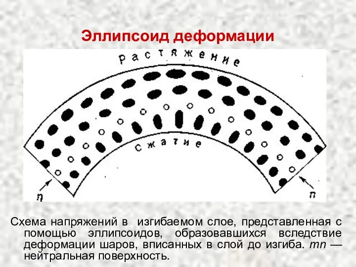 Эллипсоид деформации Схема напряжений в изгибаемом слое, представленная с помощью эллипсоидов,