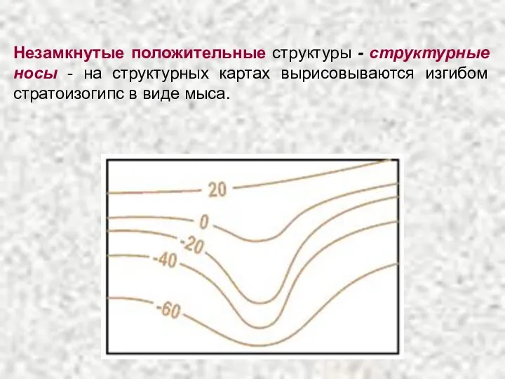 Незамкнутые положительные структуры - структурные носы - на структурных картах вырисовываются изгибом стратоизогипс в виде мыса.