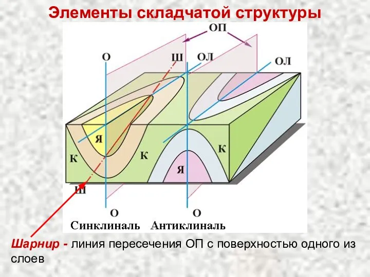 Элементы складчатой структуры Шарнир - линия пересечения ОП с поверхностью одного из слоев