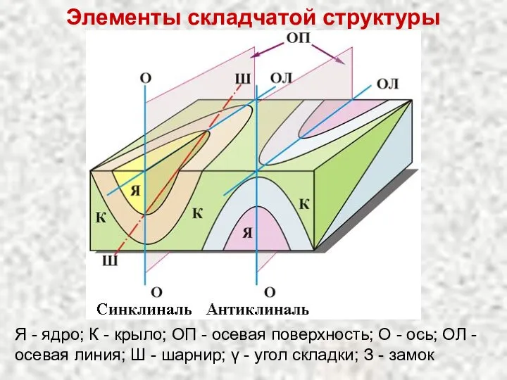 Элементы складчатой структуры Я - ядро; К - крыло; ОП -