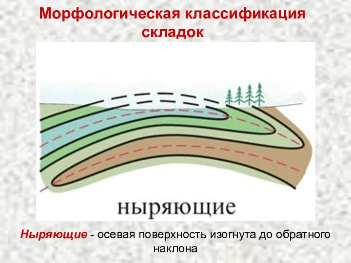 Морфологическая классификация складок Ныряющие - осевая поверхность изогнута до обратного наклона