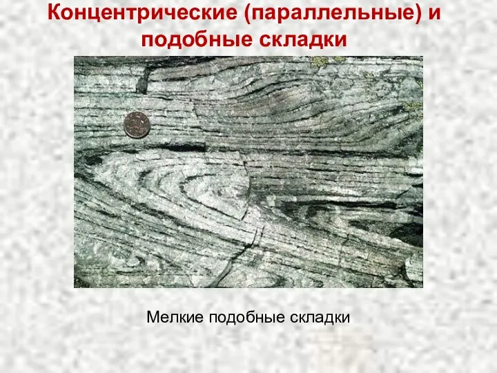 Концентрические (параллельные) и подобные складки Мелкие подобные складки