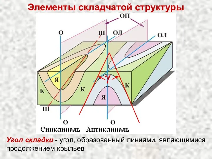 Элементы складчатой структуры Угол складки - угол, образованный линиями, являющимися продолжением крыльев γ