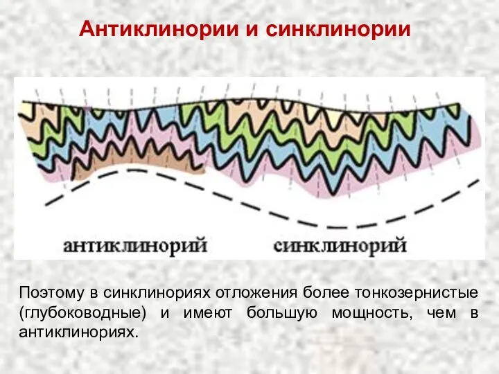 Антиклинории и синклинории Поэтому в синклинориях отложения более тонкозернистые (глубоководные) и