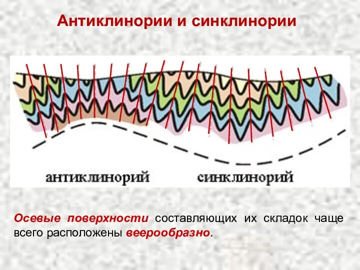 Антиклинории и синклинории Осевые поверхности составляющих их складок чаще всего расположены веерообразно.