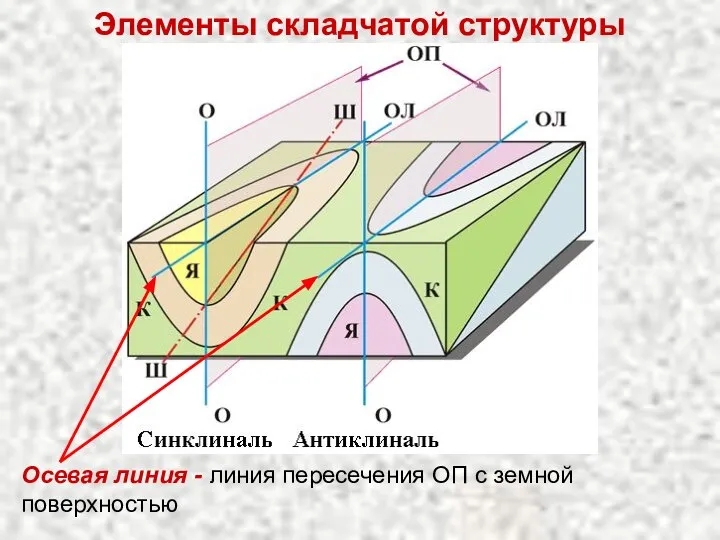 Элементы складчатой структуры Осевая линия - линия пересечения ОП с земной поверхностью