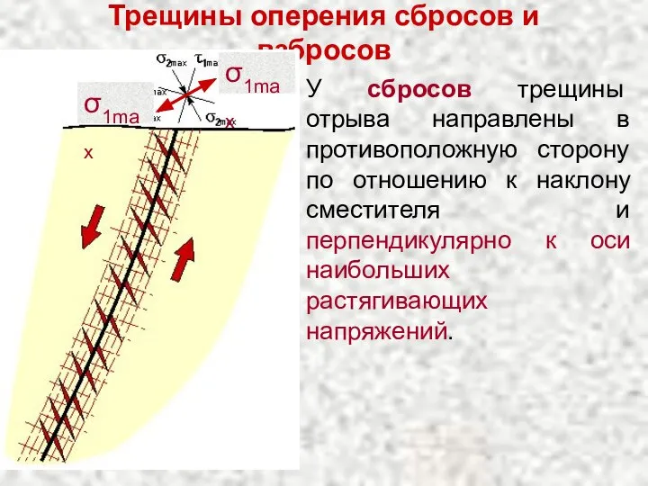 Трещины оперения сбросов и взбросов У сбросов трещины отрыва направлены в