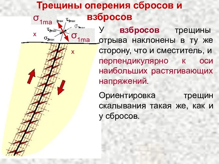 У взбросов трещины отрыва наклонены в ту же сторону, что и